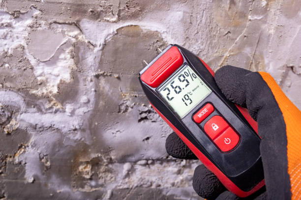 Best Emergency Mold Removal  in Dalton, GA