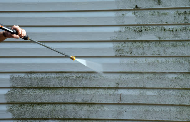 Mold Removal and Inspection in Dalton, GA